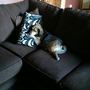 Meet your Posher, Elizabeth